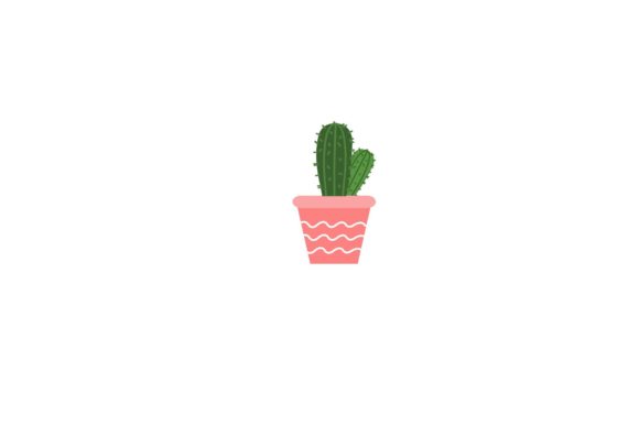 Plant Cactus Cowboy in Pot Pink Review