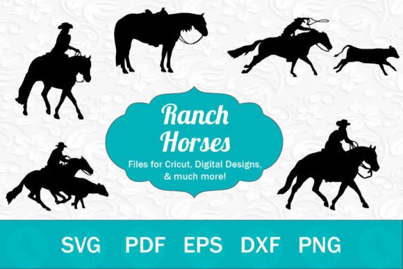 Ranch Horses Western Riders Review